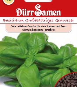 Босилек Геновестер (Ocimum basilicum)