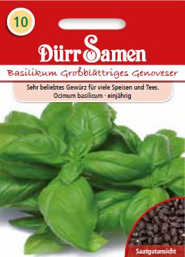 Босилек Геновестер (Ocimum basilicum)