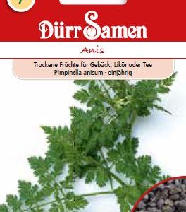 Анасон (Pimpinella anisum)