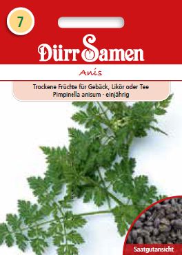 Анасон (Pimpinella anisum)