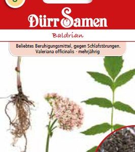 Валериан (Valeriana officinalis)