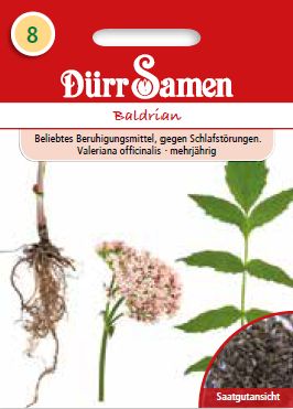 Валериан (Valeriana officinalis)