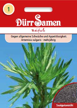 Див пелин (Artemisia vulgaris)