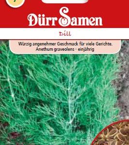 Копър (Anethum graveolens)