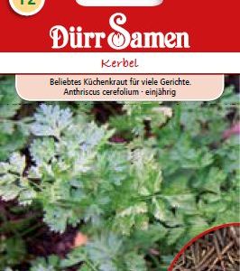 Див кервиз (Anthriscus cerefolium)