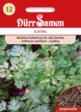 Див кервиз (Anthriscus cerefolium)