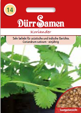 Кориандър (Coriandrum sativum)