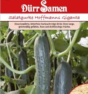 Краставици Хофманс (гиганти)