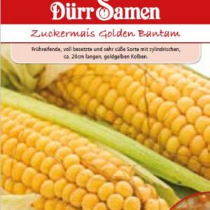 Сладка царевица (Zea mays convar. saccharata)