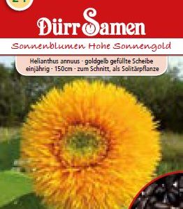 Слънчоглед „Високо, златно слънце“ (Helianthus annuus)
