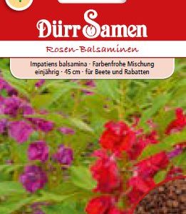 Импациенс Роза (Impatiens balsamina)