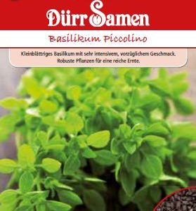 Босилек Пиколино (Ocimum basilicum)