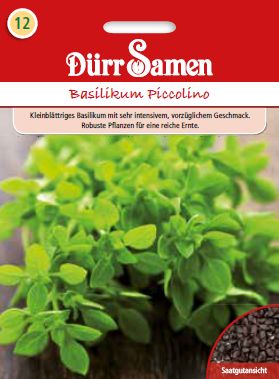 Босилек Пиколино (Ocimum basilicum)