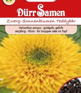 Слънчоглед „Плюшено мече“ (Helianthus annuus)
