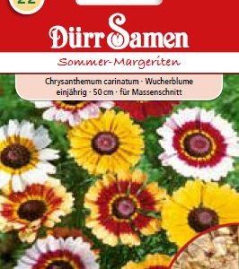 Маргаритки (Chrysanthemum carinatum) – летни