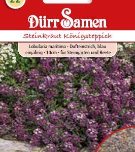 Лобулария (Lobularia maritima) – със сини цветове