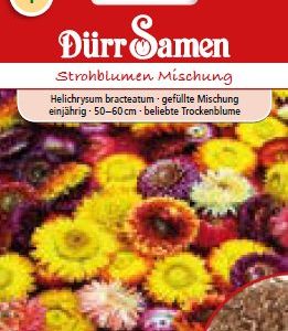 Хелихризум (Helichrysum bracteatum)