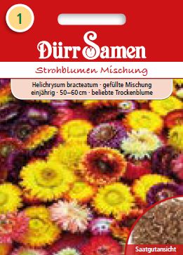 Хелихризум (Helichrysum bracteatum)