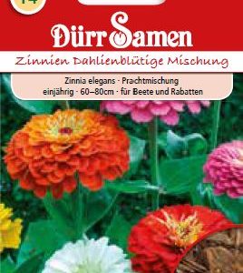 Циния Далия (Zinnia elegans) – микс