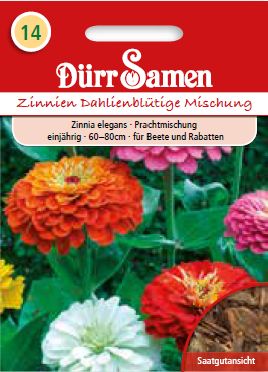 Циния Далия (Zinnia elegans) – микс