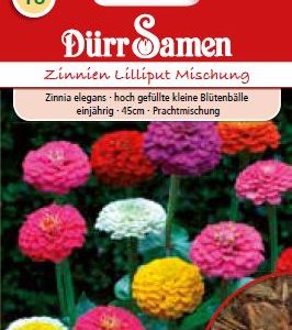 Циния Лилипут (Zinnia elegans) – микс