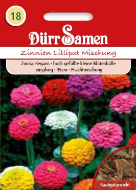 Циния Лилипут (Zinnia elegans) – микс