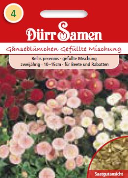 Белис Гефюлте (Bellis perennis) – Парички – микс