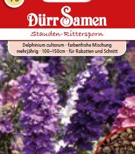 Делфиниум, Ралица (Delphinium cultorum)