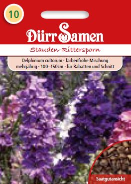 Делфиниум, Ралица (Delphinium cultorum)