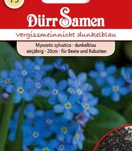 Миозотис Незабравка (Myosotis sylvatica)