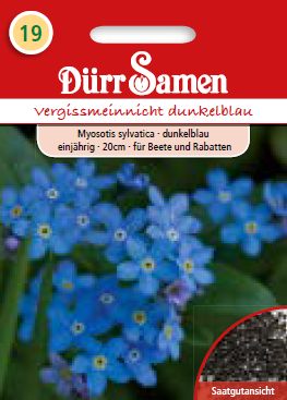 Миозотис Незабравка (Myosotis sylvatica)