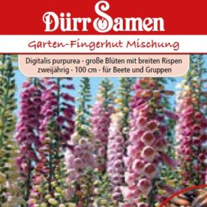 Дигиталис Напръстник (Digitalis purpurea)