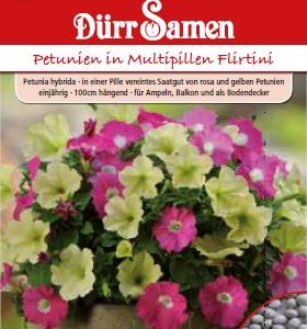 Петуния F1 (Petunia hybrida)