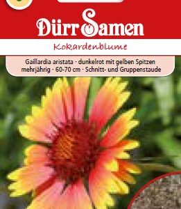 Гайлардия (Gaillardia aristata)