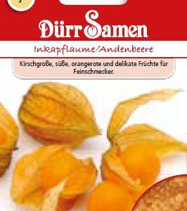 Физалис (Physalis peruviana edulis)
