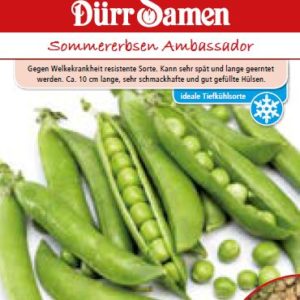 Грах Амбасадор (летен)