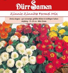 Циния Формел (Zinnia elegans) – микс