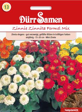 Циния Формел (Zinnia elegans) – микс