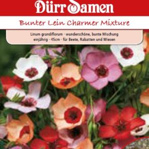 Линум (Linum grandiflorum) – микс