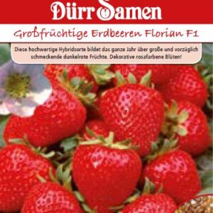 Ягоди (Fragaria vesca semperflorens)