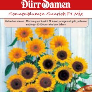 Слънчоглед Сънрих F1 (Helianthus annuus) – микс
