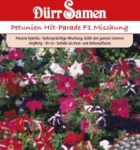 Петуния F1 (Petunia hybrida) – микс
