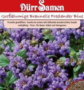 Прунела (Prunella grandiflora)