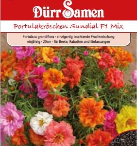 Калдъръмче Слънчев часовник (Portulaca grandiflora)