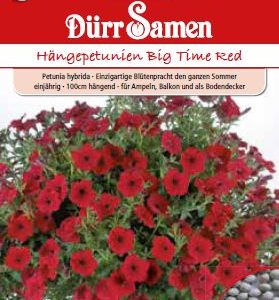 Петуния F1 (Petunia hybrida)