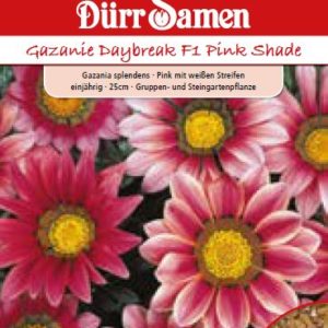 Гацания Дайбрек F1 (Gazania splendens) – розова