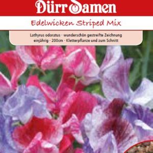 Латирус (Lathyrus odoratus) – микс