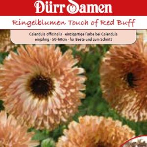 Невен Тоуч ред (Calendula officinalis)