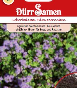 Агератум (Ageratum houstonianum)