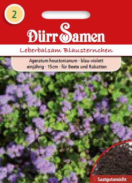 Агератум (Ageratum houstonianum)